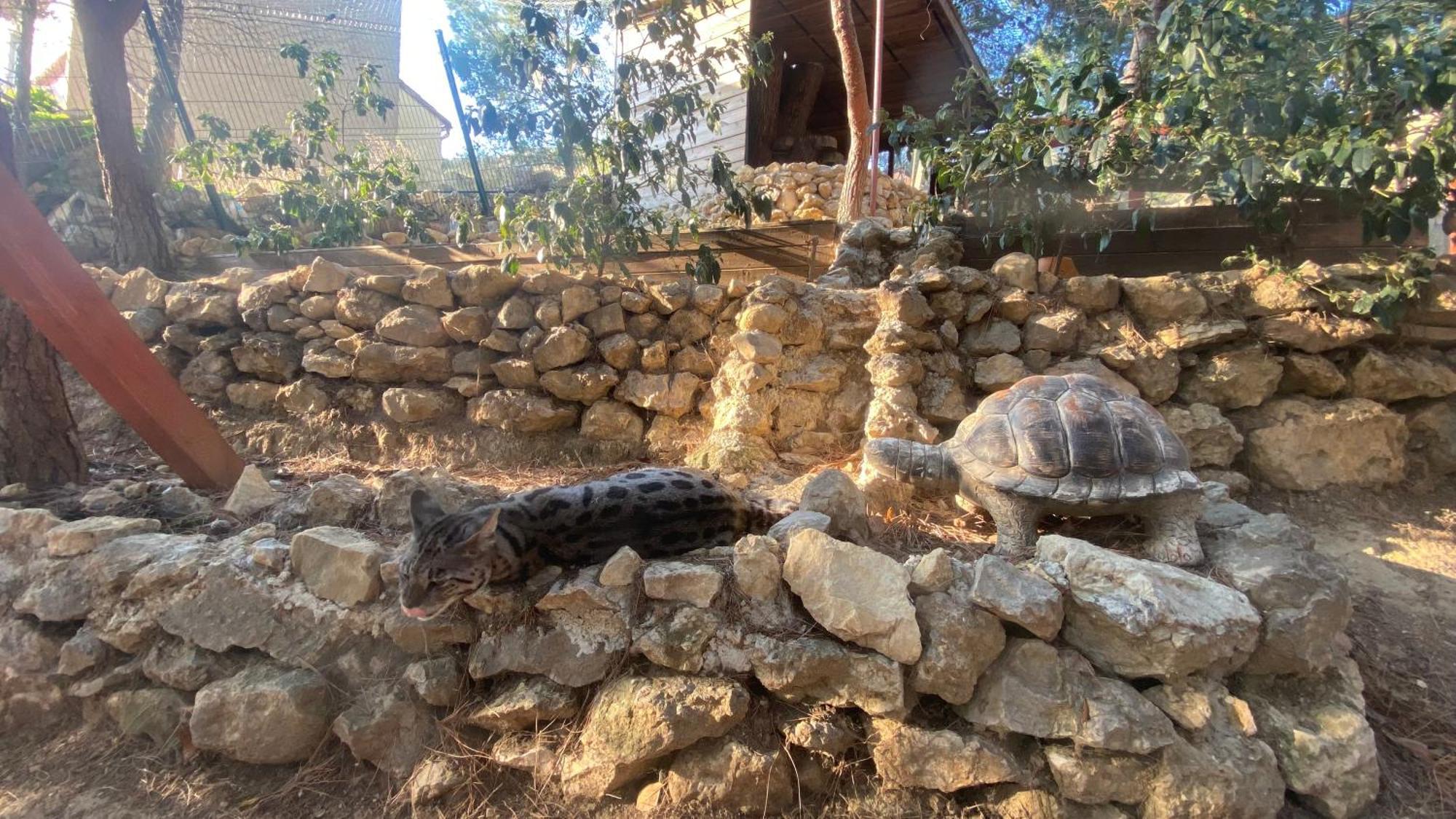 Les Jardins De L'Oustal Villa นาร์บอนน์ ภายนอก รูปภาพ